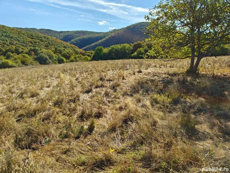 Teren de 35400 mp, în Balta