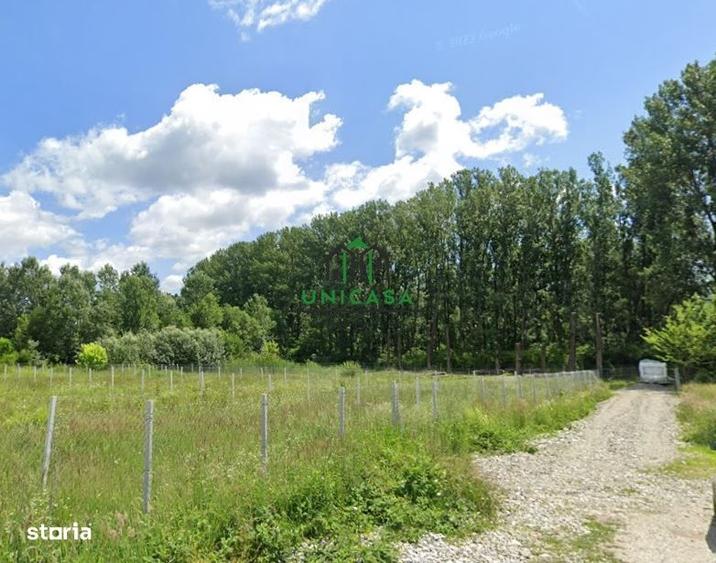 Spațiu comercial, în Malu
