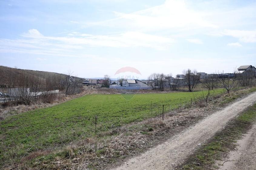 Teren Construcții intravilan de 3500 mp, în Moara