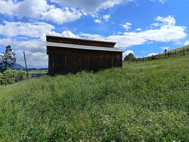 Teren de 5285 mp, în Poiana Stampei