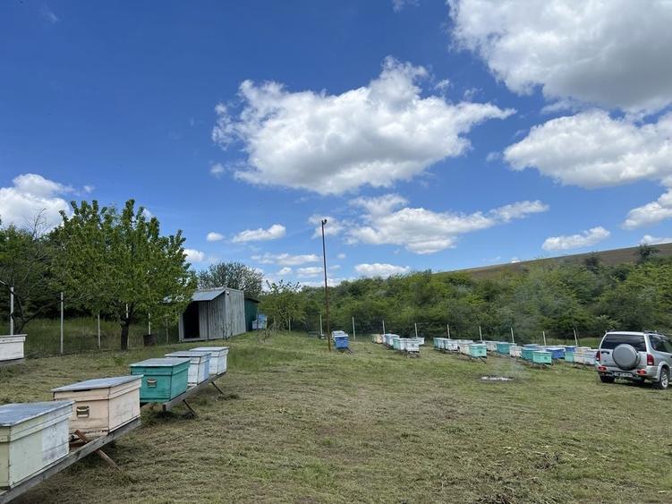 Teren de 7100 mp, în Suceveni