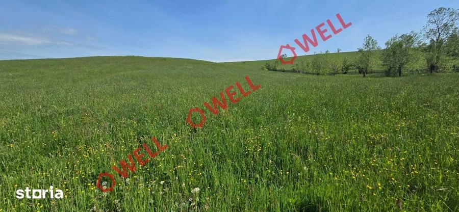 Teren de 3267 mp, în Barcani