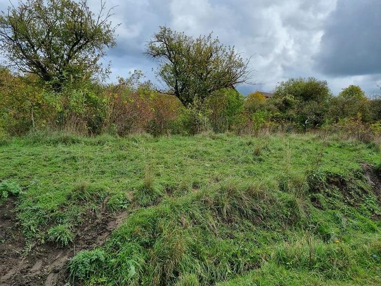 Teren agricol extravilan de 1000 mp, în Iris