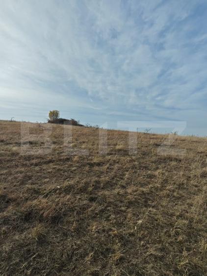 Teren agricol extravilan de 61500 mp, în Moldovenești