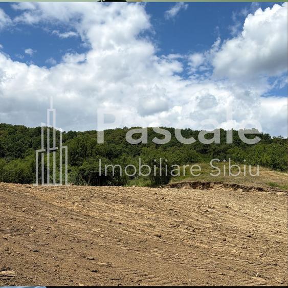 Teren Construcții intravilan de 2600 mp, în Bradu