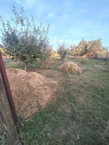 Casă cu 3 camere în Suceagu
