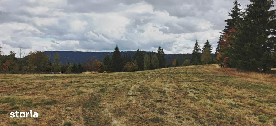 Teren de 10600 mp, în Râșca