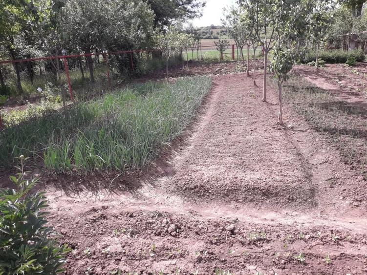 Casă cu 3 camere cu Teren 100 Mp în Gălești