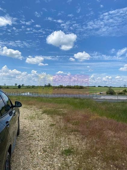 Teren agricol extravilan de 62600 mp, în Albota
