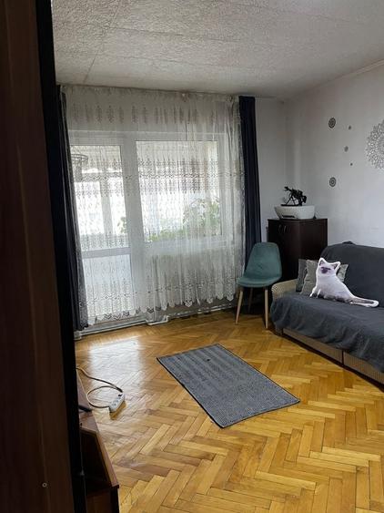 Apartament 3 camere de vanzare - 6