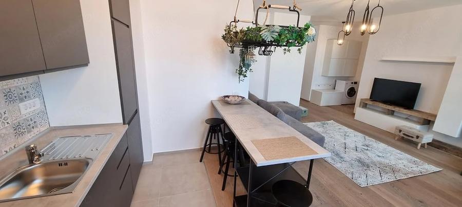 Apartament cu 2 camere semidecomandat în Take Ionescu