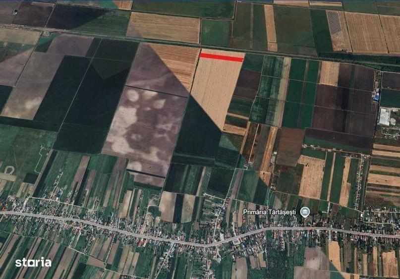 Teren de 10000 mp, în Tărtășești