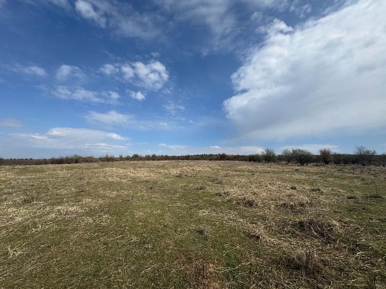 Teren agricol extravilan de 10233 mp, în Exterior Nord