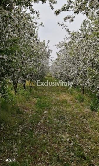 Casă cu 2 camere cu Teren 7350 Mp în Valea Vinului