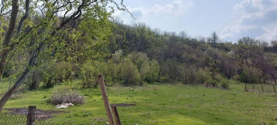 Teren de 3100 mp, în Axintele