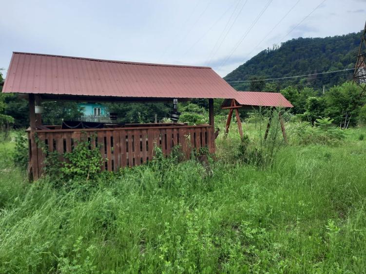 Teren Construcții intravilan de 3600 mp, în Pângărați
