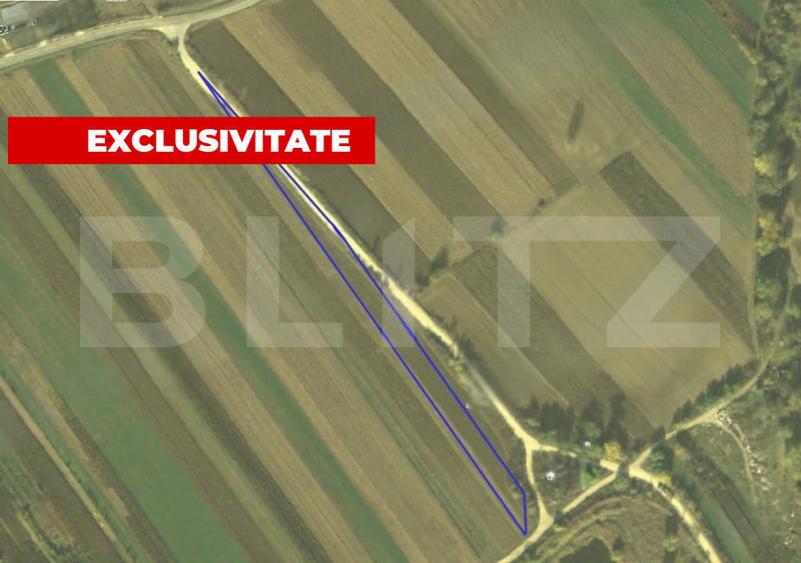 Teren generos 4300 mp Paraul lui Mihai, ideal pentru c - 1