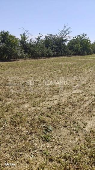 Teren de vanzare, 2.000 mp, deschidere 60 m, zona Dobra