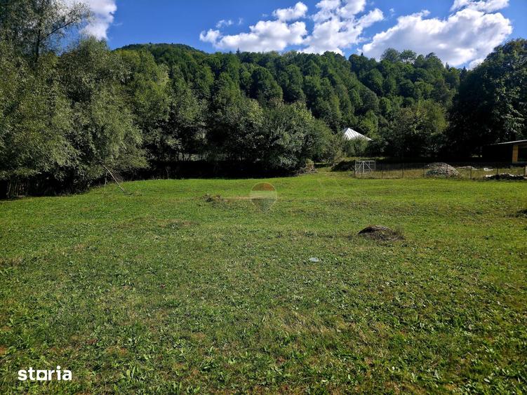 Teren de 1113 mp, în Tarcău