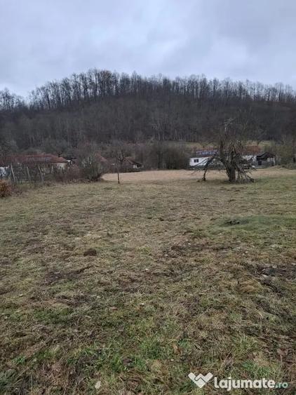 Teren de 3140 mp, în Petriș