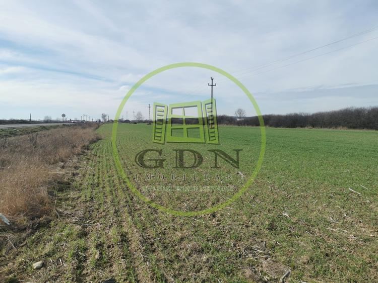 Teren agricol extravilan de 21496 mp, în Săcădat