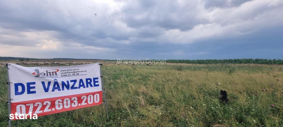 Vand 10 000 mp, teren intravilan, Ratesti, Furduesti, la asfalt Dj508