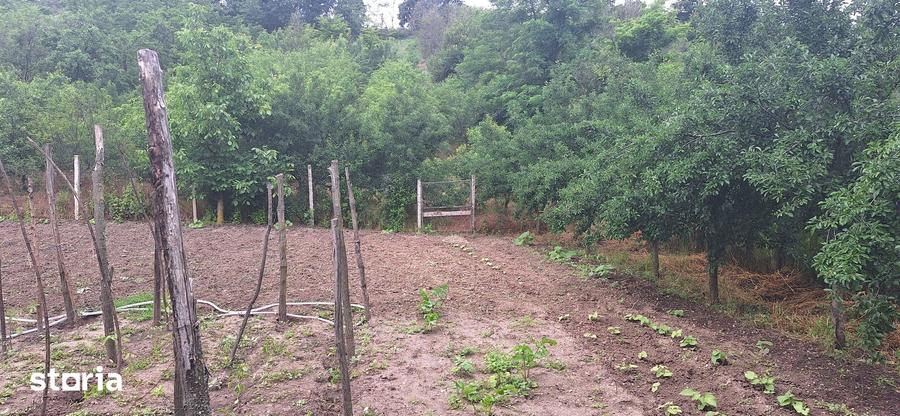 Casă cu 3 camere cu Teren 3400 Mp în Icoana