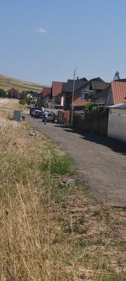 Teren Construcții intravilan de 10000 mp, în Calea Romanului