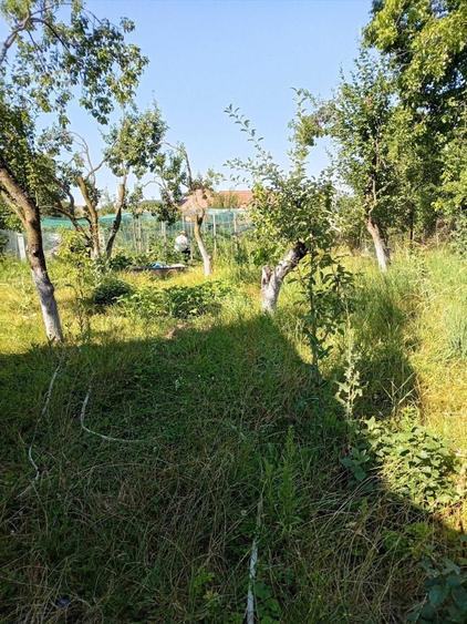 Casă cu 2 camere în Glăjărie
