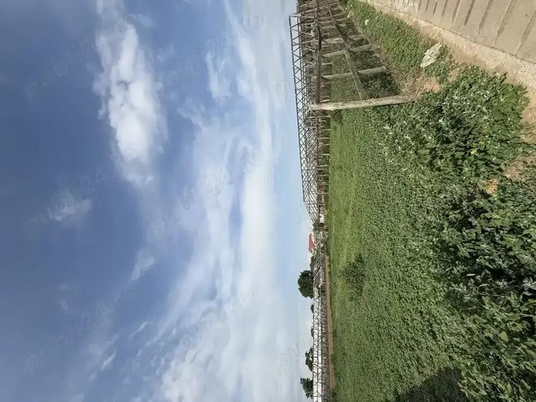 Teren de 1950 mp, în Matca