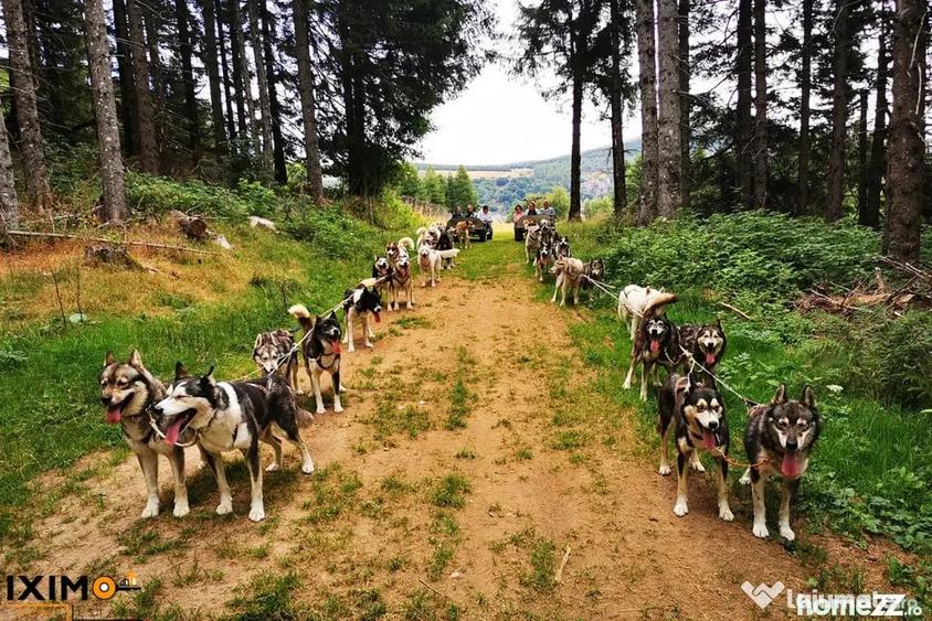 Teren de 6000 mp, în Central