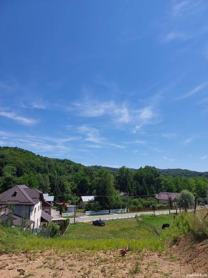 Teren de 1500 mp, în Vulcana de Sus