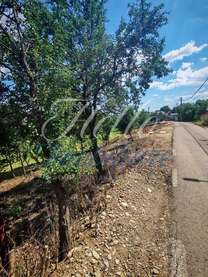 Teren Construcții intravilan de 7694 mp, în Tureni