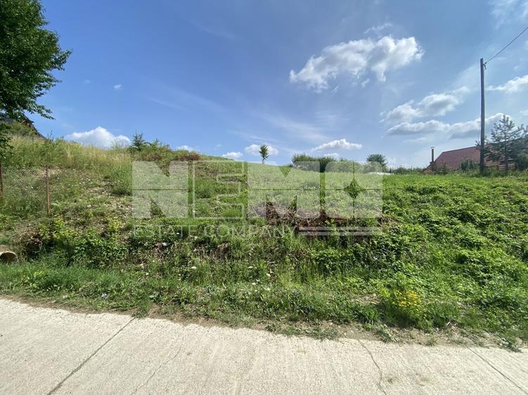 Teren Construcții intravilan de 2452 mp, în Voievodeasa