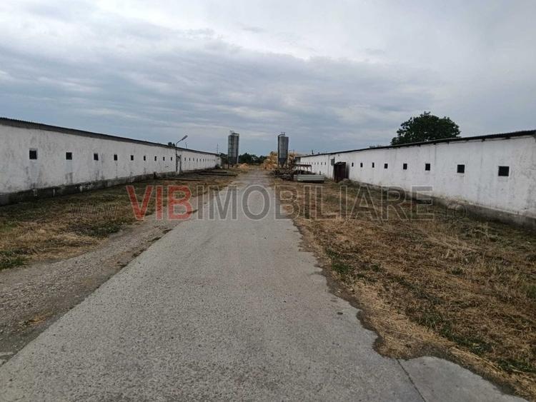 Spațiu comercial, de 6,300 mp, în Salonta