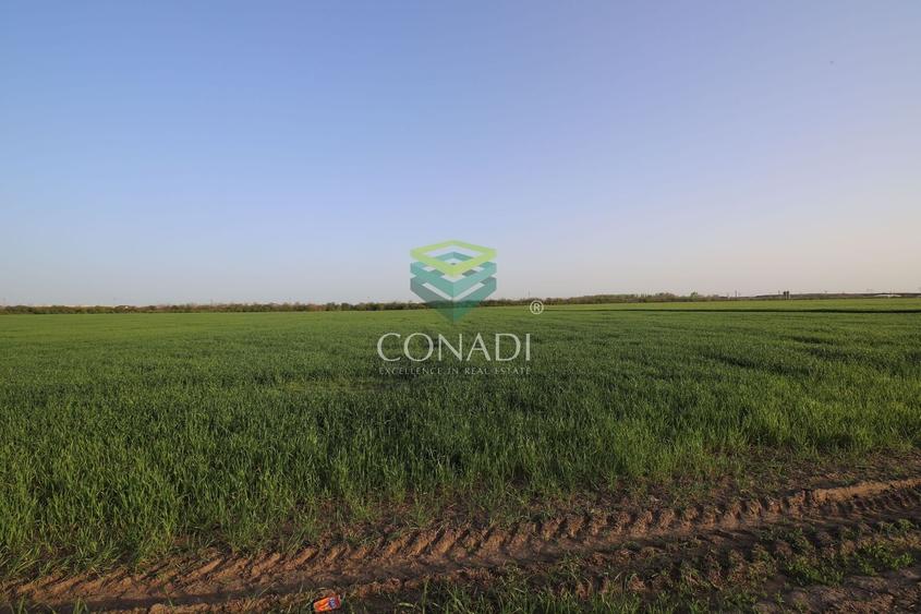 Teren agricol intravilan de 5792 mp, în Clinceni