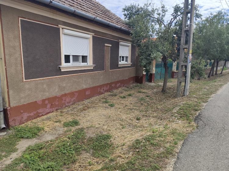 Casă individuală cu 3 camere cu Teren 5000 Mp în Abrămuț