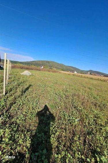 Teren de 736 mp, în Șieu