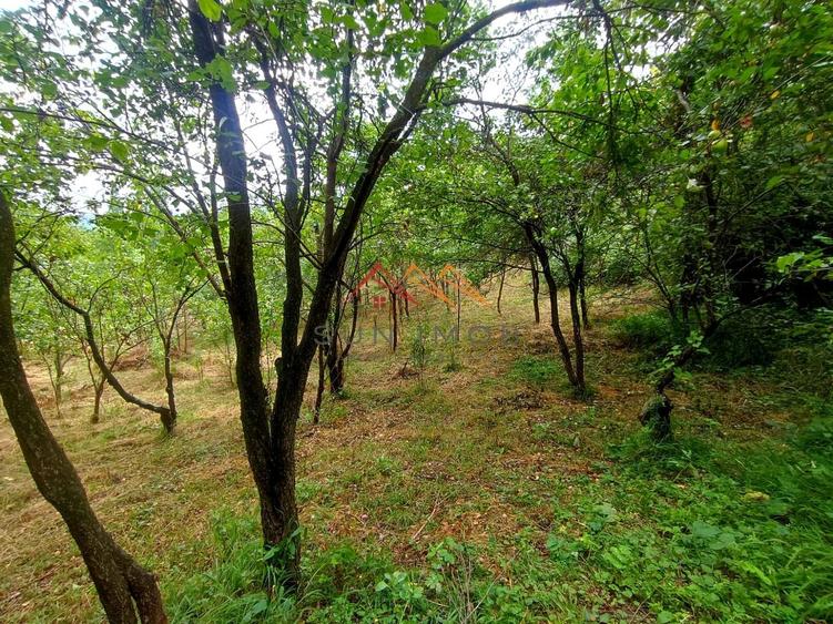 Casă individuală cu 5 camere cu Canalizare în Telega