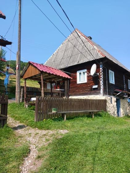 Case si teren de vanzare ALBAC, ALBA - 7