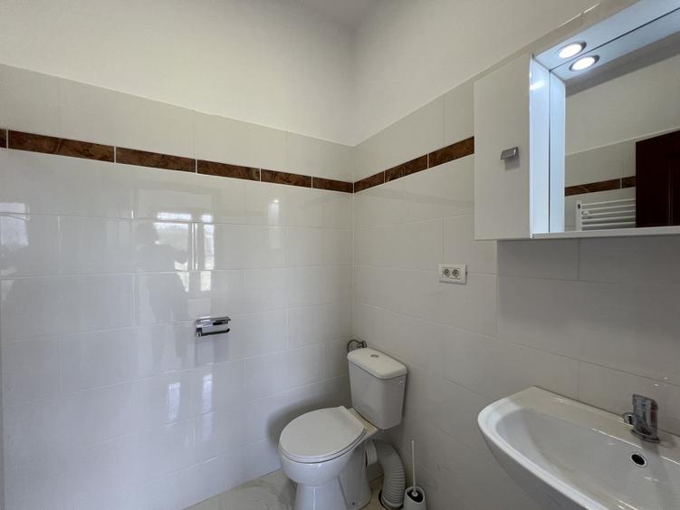Casă individuală cu 4 camere cu Piscina în Frumușani