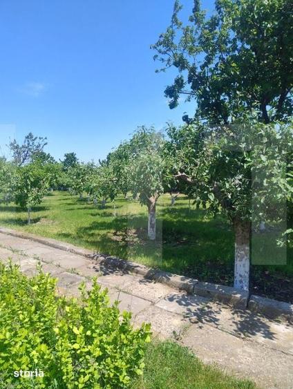 Casă cu 2 camere cu Teren 1680 Mp în Mihai Eminescu