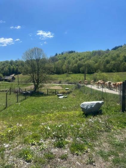Casă individuală cu 3 camere cu Canalizare în Telciu