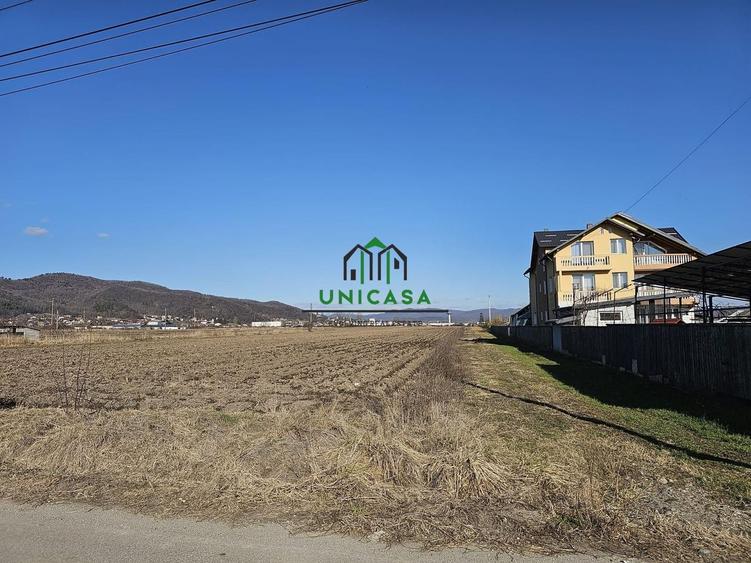 Teren Construcții intravilan de 7409 mp, în Copăcelu