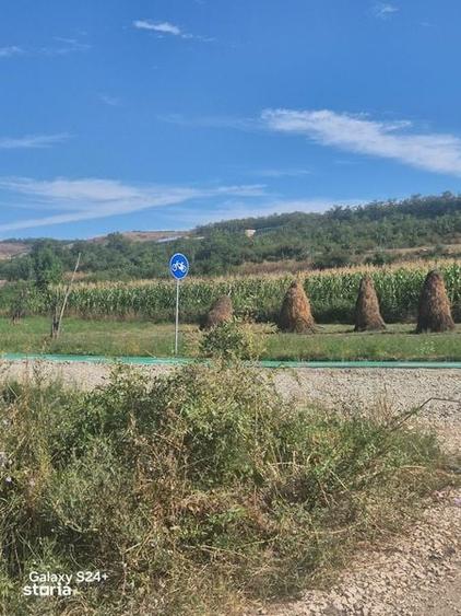 Teren de 1875 mp, în Galda de Jos