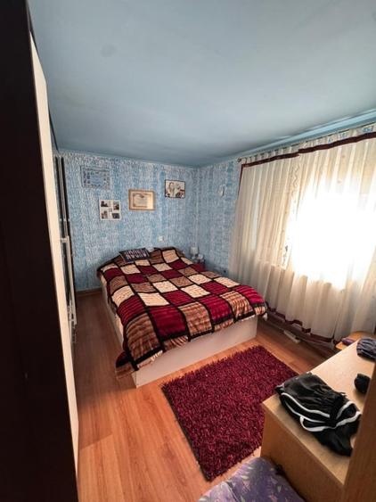 Casa complet utilata si mobilata, 160 mp, zona Damila - La Capsunarie - 10