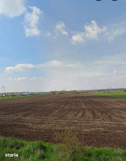 Teren de 33700 mp, în Iepurești