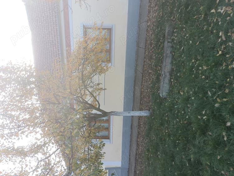 Casă cu 6 camere în Alioș