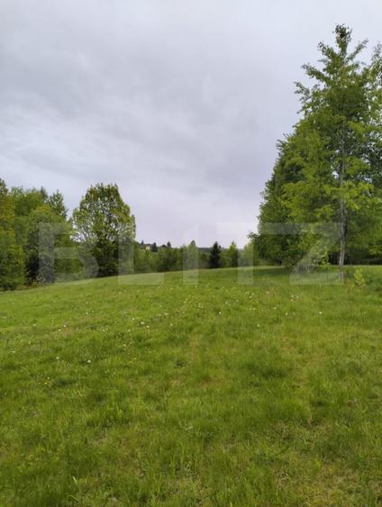 Teren agricol extravilan de 7000 mp, în Gilău