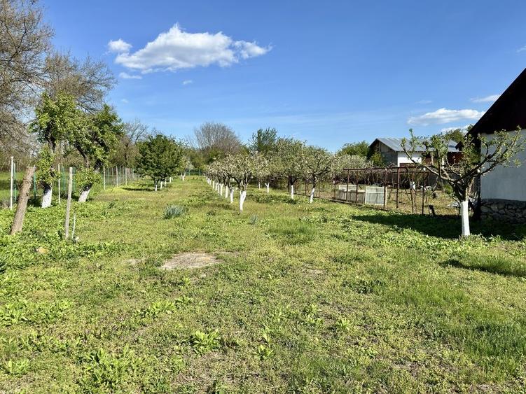 Casă cu 2 camere în Alexeni